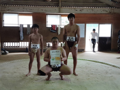 相撲