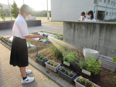 写真②